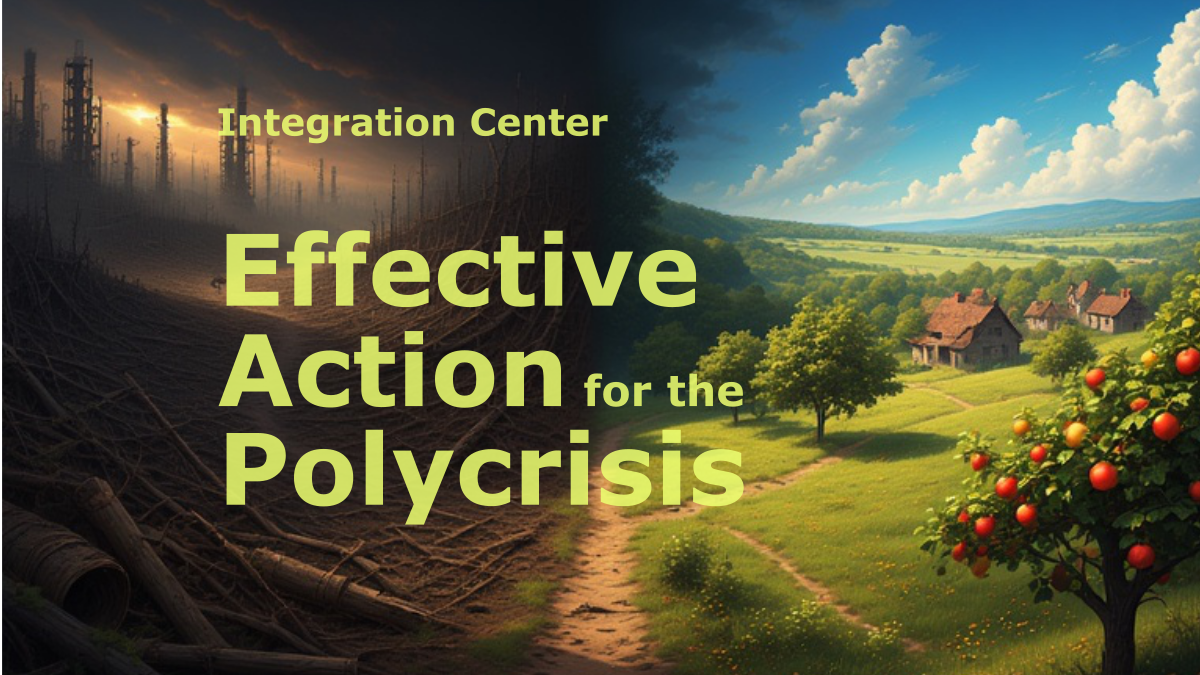 Effective Action for the Polycrisis