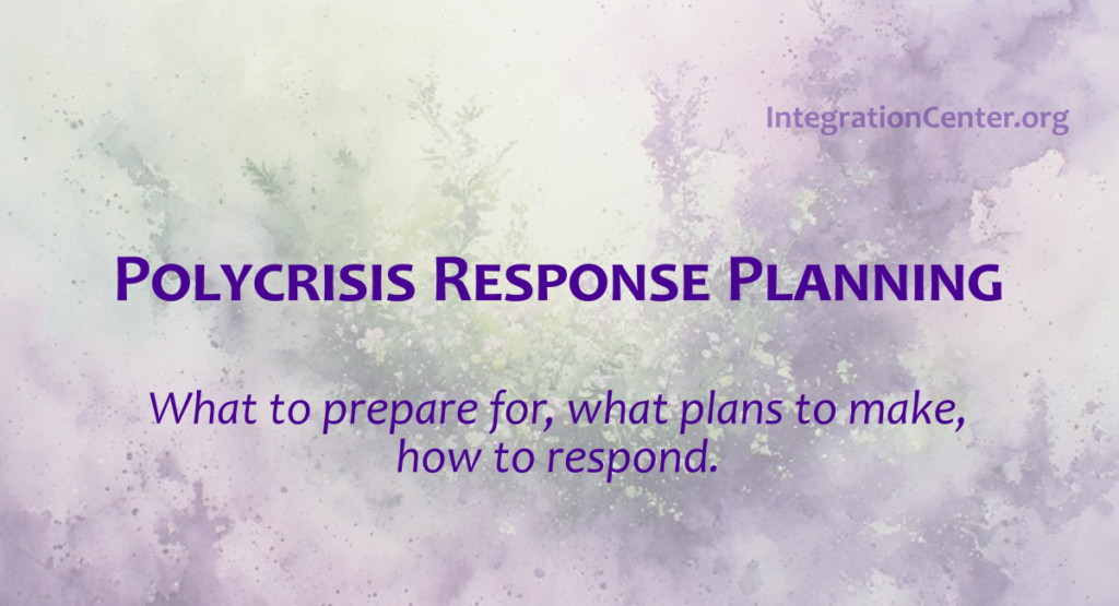 Polycrises Polycrisis Response Planning - Integration Center